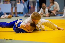 22.06.2024 Wachau JUDO Kids Cup